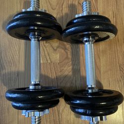 Dumbell Set ( with case )