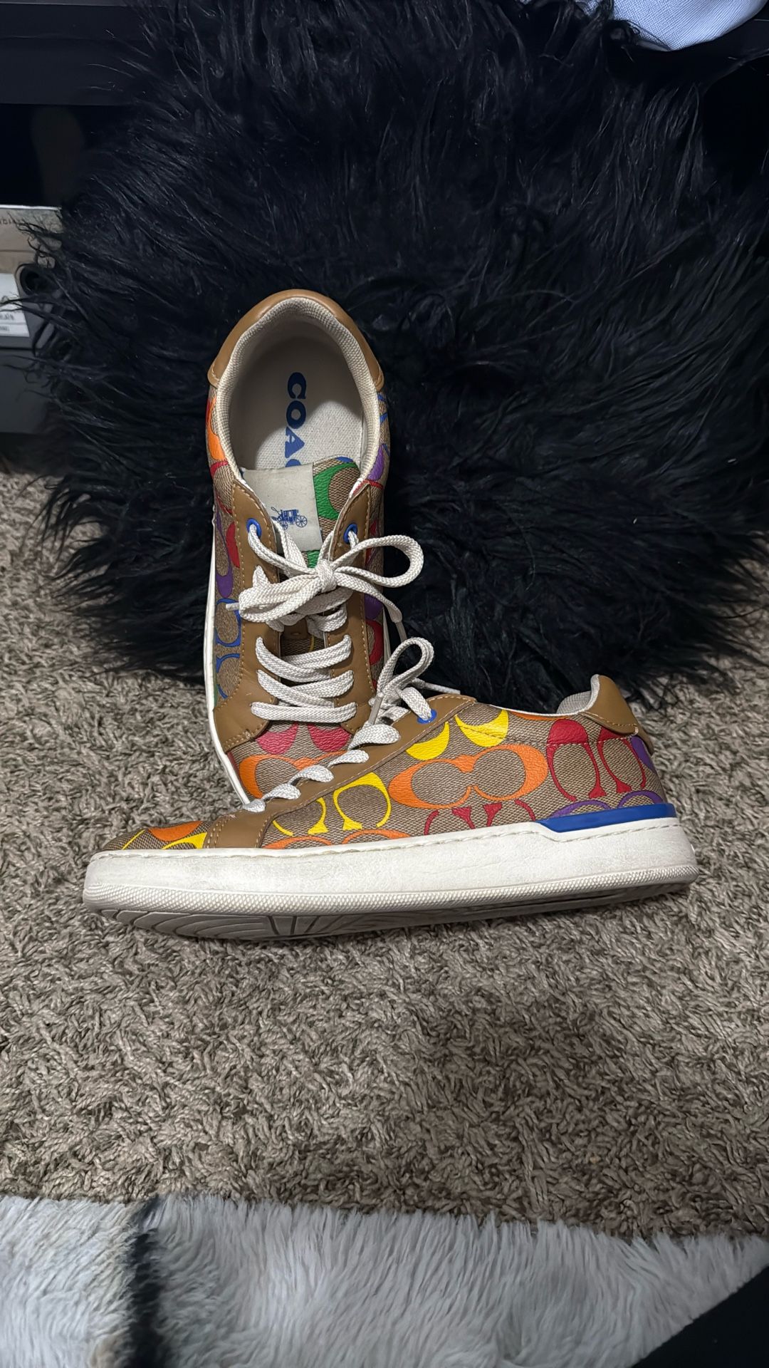 Rainbow Coach Sneakers