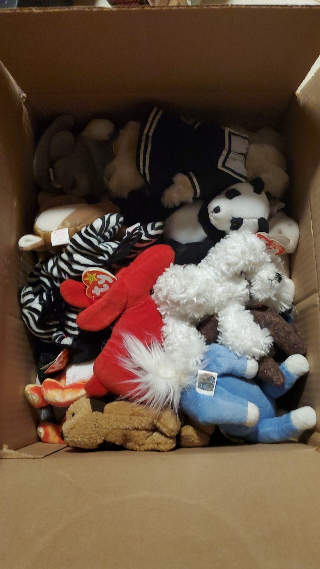 Full box of Beanie Babys. All with tags and clean