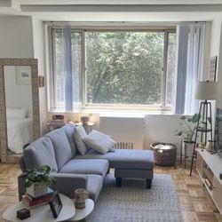 Light Grey Sectional Sofá 