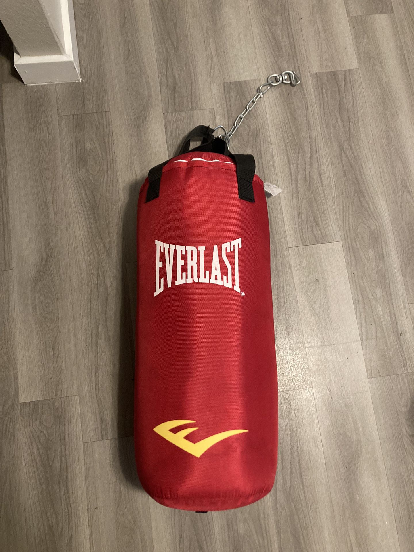 Everlast Punching Bag 🥊