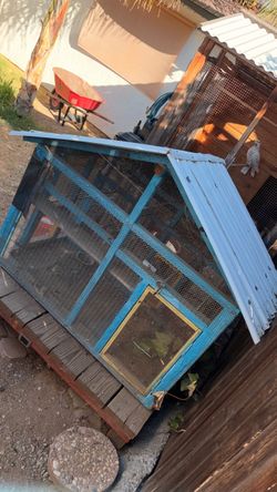 Pigeon coop nice one 80$