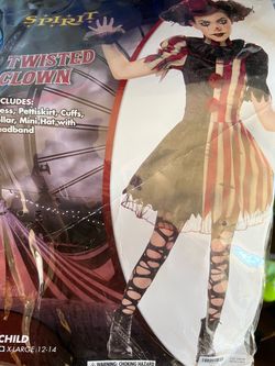 Spirit clown costume