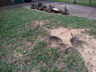 Stump grinding