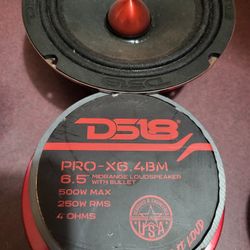 Car audio speakers two
