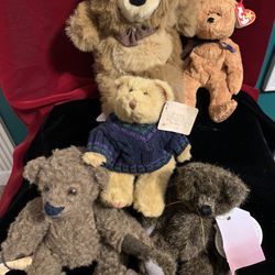 Five Collectible Teddy Bears 🧸