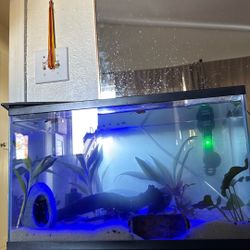 10 Gallon Fish Tank. 