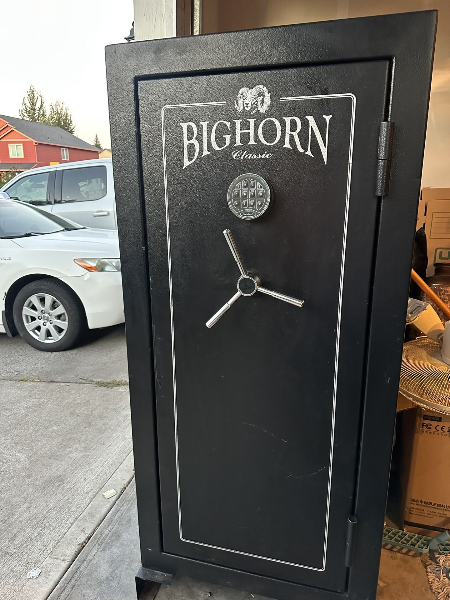 Bighorn safe
