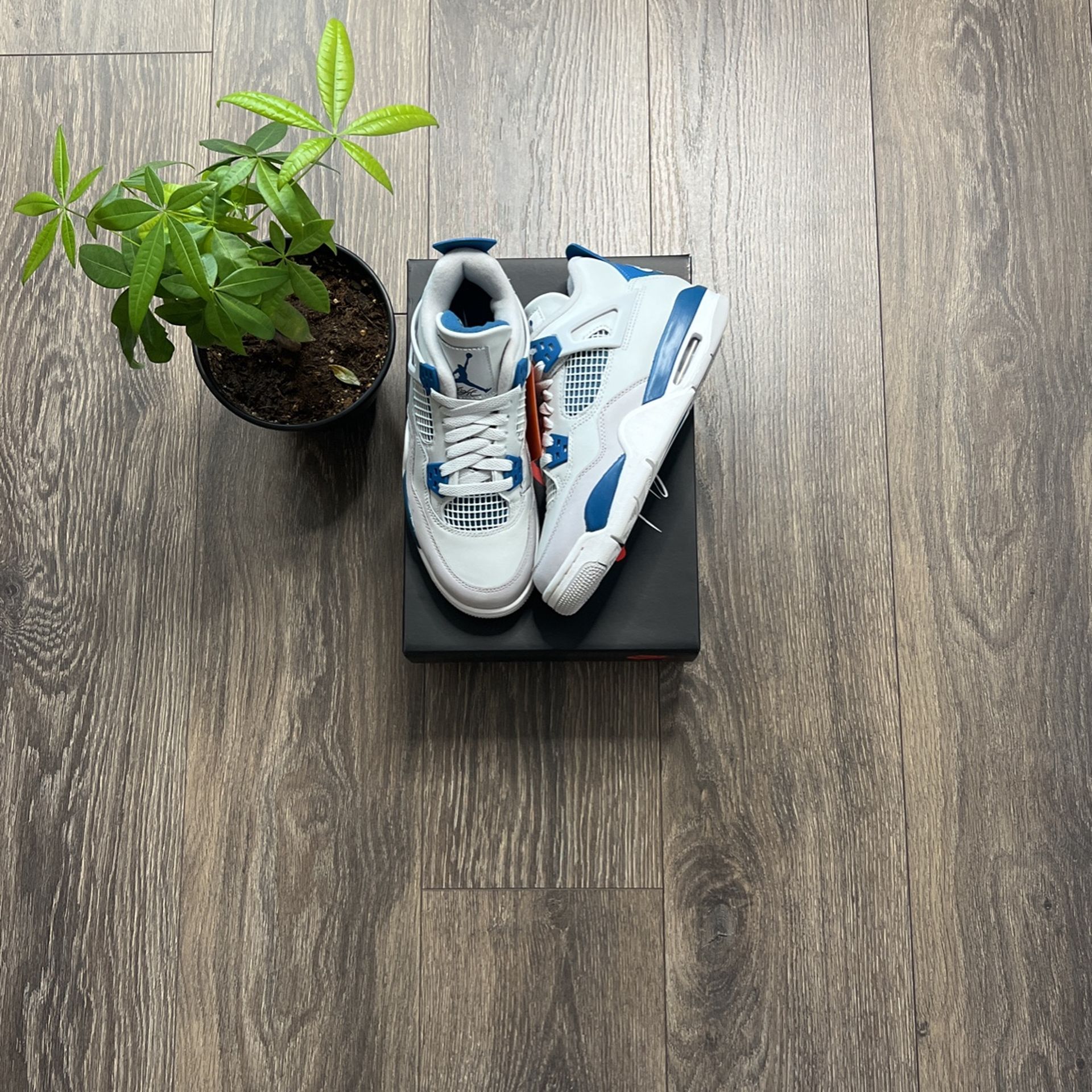 Jordan 4 Military Blue (2024)
