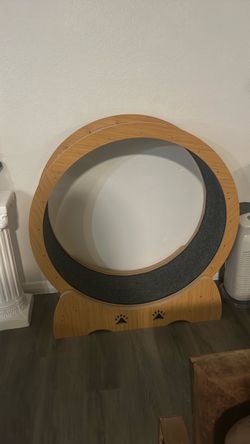 Cat Wheel