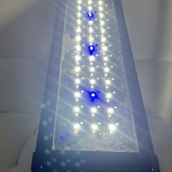 Aquarium Or Terrarium, Leopard Geckos, Frogs Fish In Royal Palm Beach