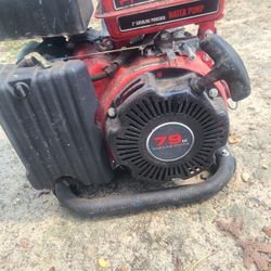 Predator Water Pump 79 cc