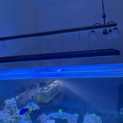 Aquatic life G3 T5 HO Hybrid 4 lamp fixture 48 inch, with 8 bulbs included