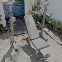 Workout Bench