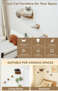 Wall-Mounted Cat Shelves Set