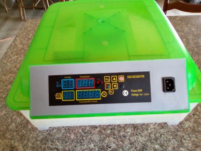 Egg Incubator For Chickens Or Reptiles Works Great Come Pick It Up In Hesperia CA $80