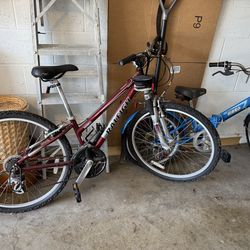 2 bikes for $20 or $10 each