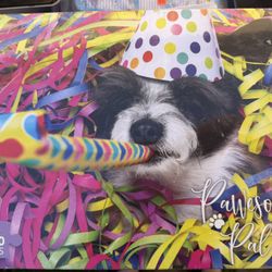 Kids Puzzle New Easter Basket Stuffer