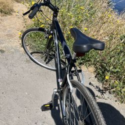 700 C Hybrid 