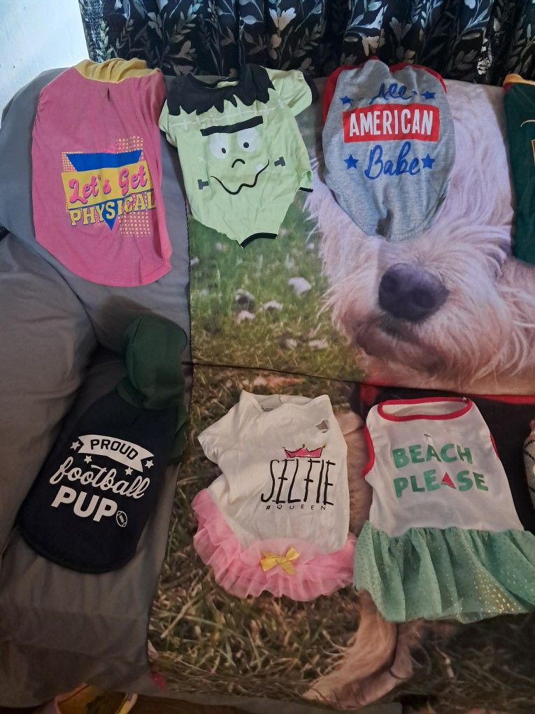 Dog Stuff And Clothes