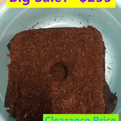 Coco Bliss Coco Coir Fiber Soil Discs with Low EC and pH - Organic Coconut Coir Potting Soil for House Plants, Succulents, Herbs, and Flowers.（48x32x3