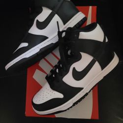 Nike Dunk Hightops