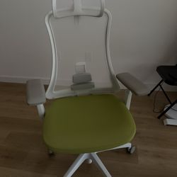 Vernal Ergonomic Chair