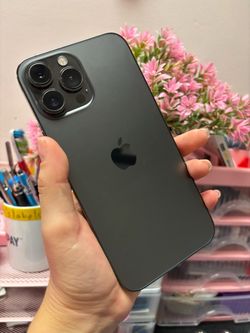 iPhone 13 Pro Max 256gb