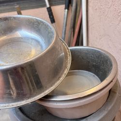 Dog Bowls
