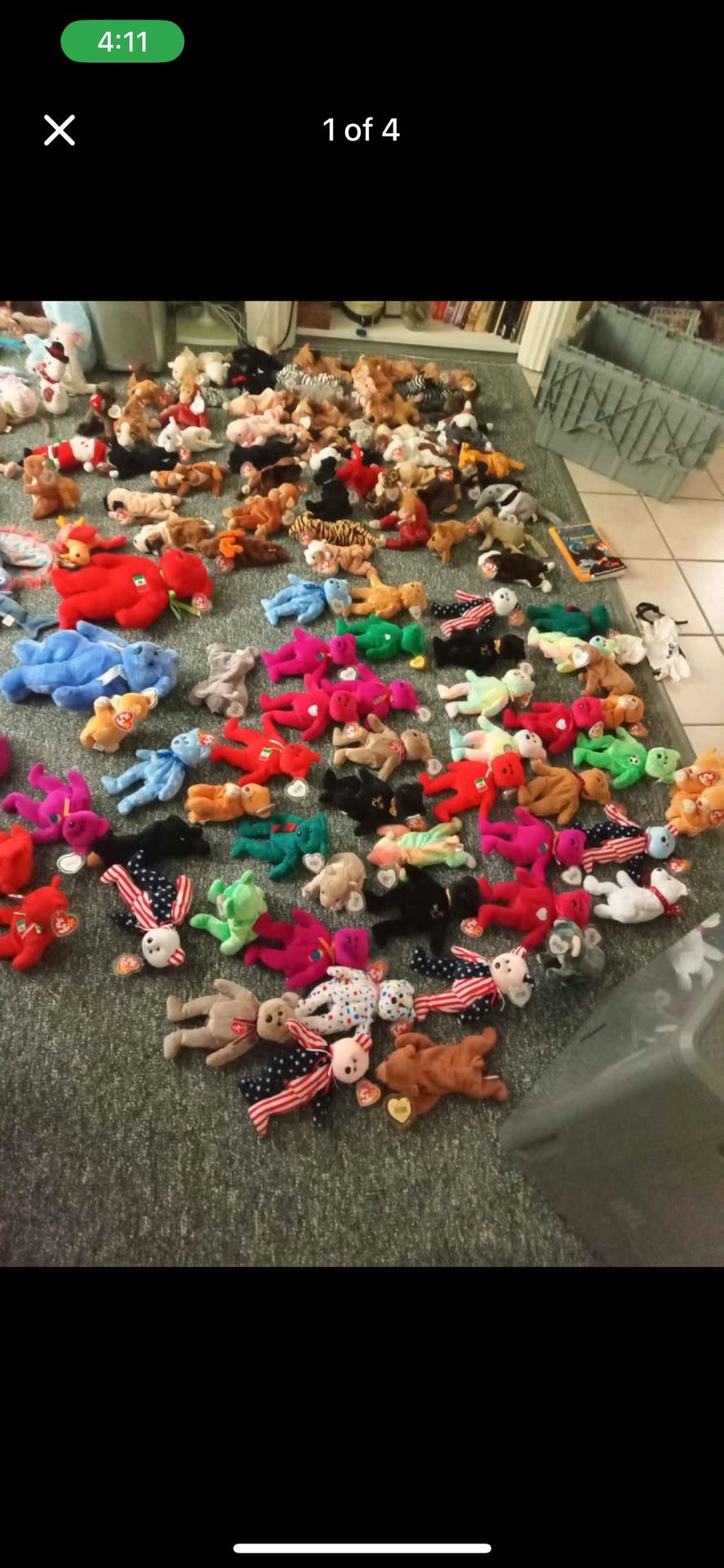 Beanie Baby Collection