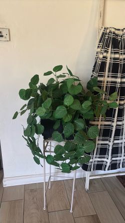 Artificial House Plant