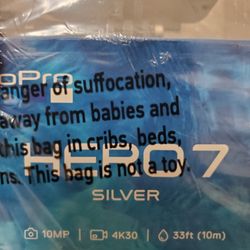 Brand New In Box Go Pro Hero 7 Silver 