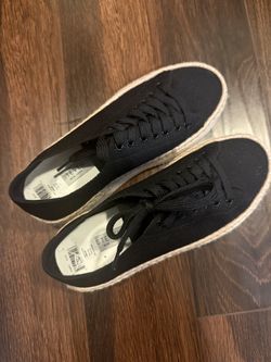 Steve Madden Sneakers New 6.5