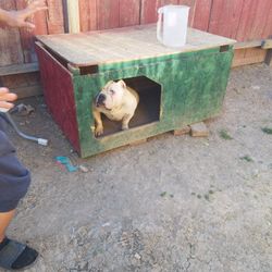 Wooden Dog House 