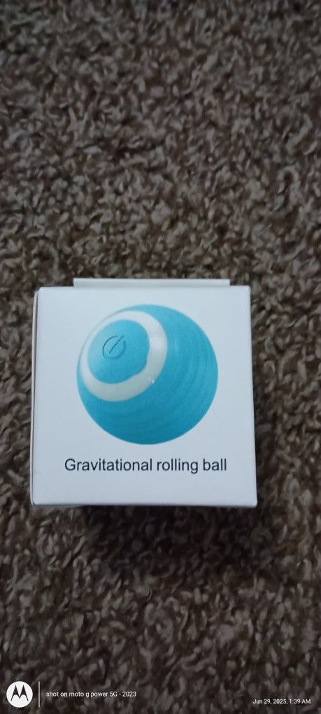Cat Toy