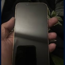 iPhone  13 Pro 256 Gb Unlocked 
