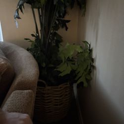 Big Fake House Plant