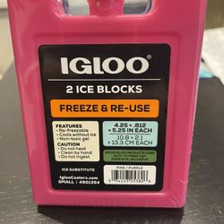 Igloo 2pk Ice Blocks - Pink/Purple