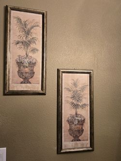 Plant Paintings
