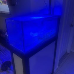 20gallon Fish Tank And Stand With Light FREE 