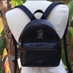 MINI CHARLE BACKPACK WITH MINNIE MOUSE MOTIF (COACH F29353  display picture 2