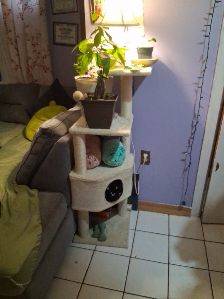 Cat Tree ..multipurpose Stand