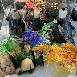 Aquarium And Supplies