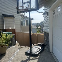 Lifetime 10ft Freestanding Basketball Hoop