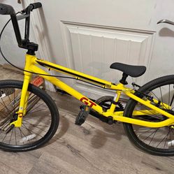 Expert BMX Racing Bike 