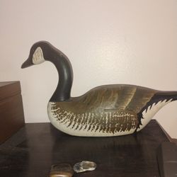 Decorative Collection 