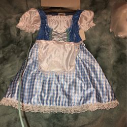 Dorothy Costume