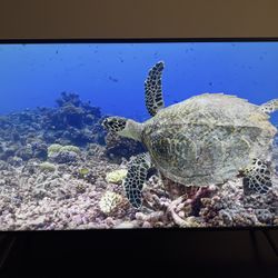 50 Inch Samsung 4k UHD Smart TV