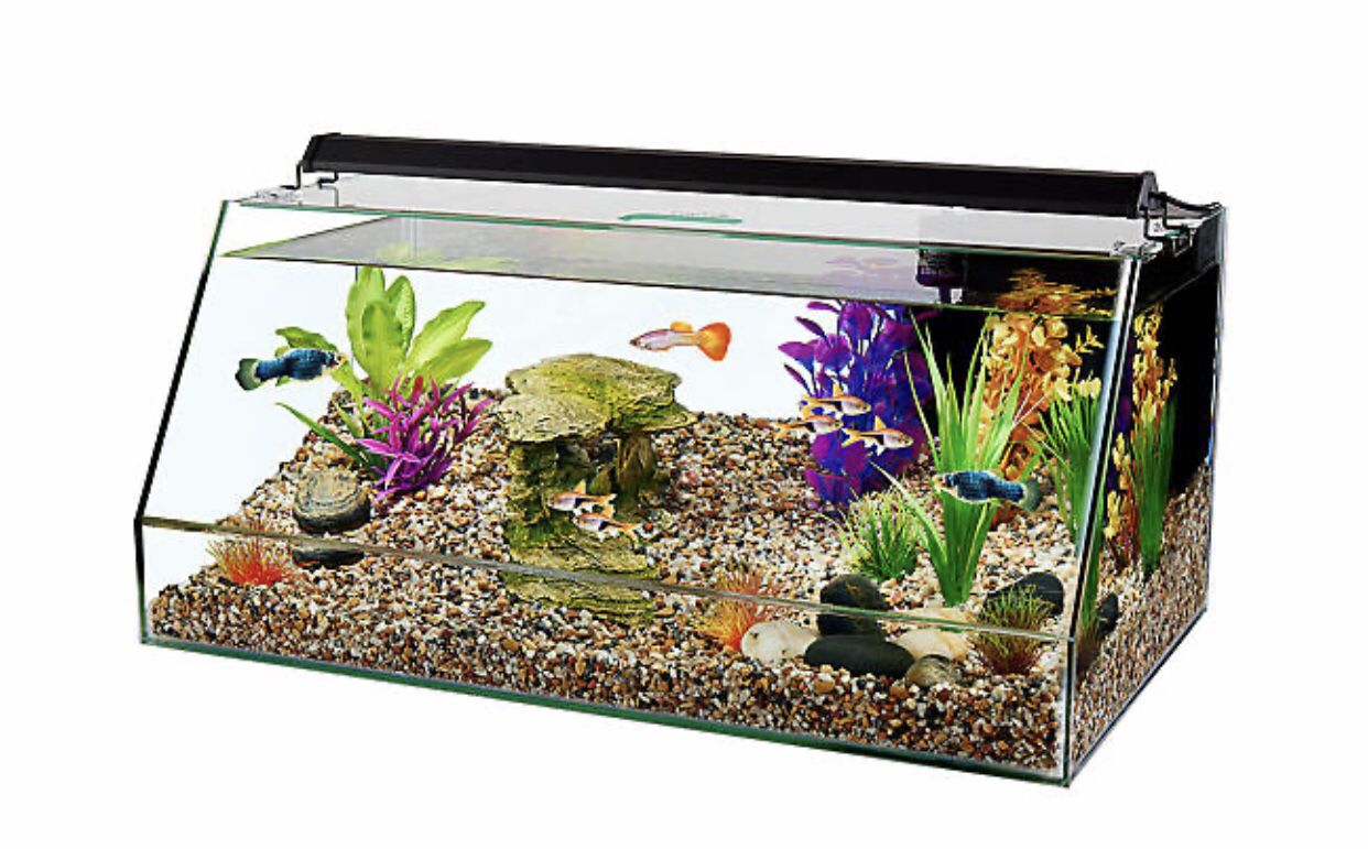 10 Gallon Aquarium With Heater, Filter and Lights-used
