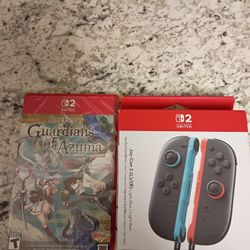 Nintendo Switch 2 Accessories 
